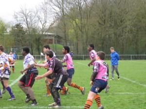 IMG 5272