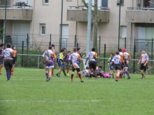 IMG 5318