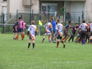 IMG 5333