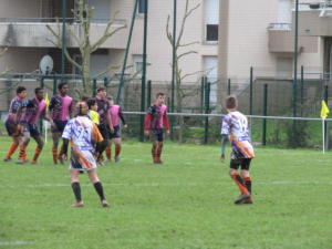 IMG 5342
