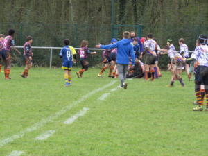 IMG 5355