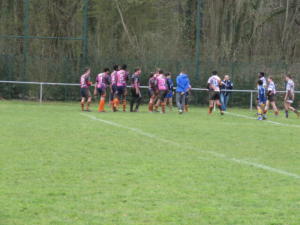 IMG 5359