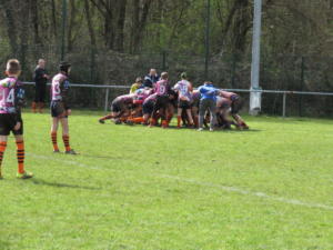 IMG 5375